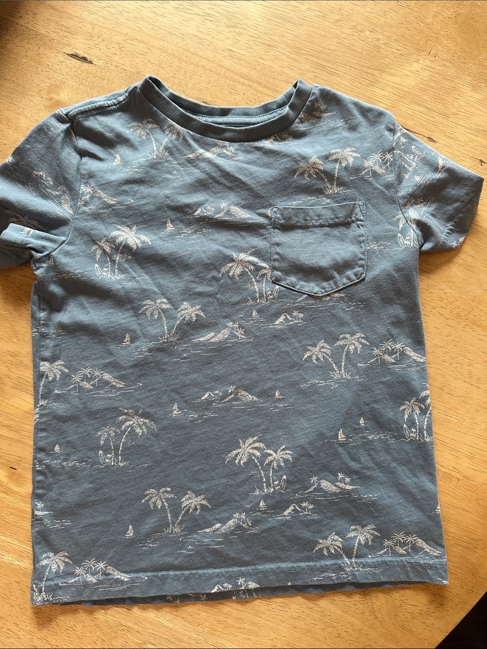 5/$25 bixby 6-7 small palm shirt pocketed tee back to school